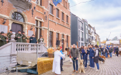 Dierenwijding in Berlaar-Centrum